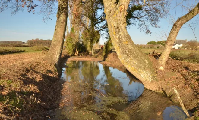 Travaux en espaces naturels, Châtellerault, Arborea