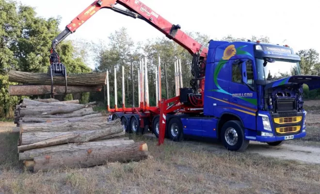 Défrichage et abattage d'arbres sur une parcelle communale, Châtellerault, Arborea