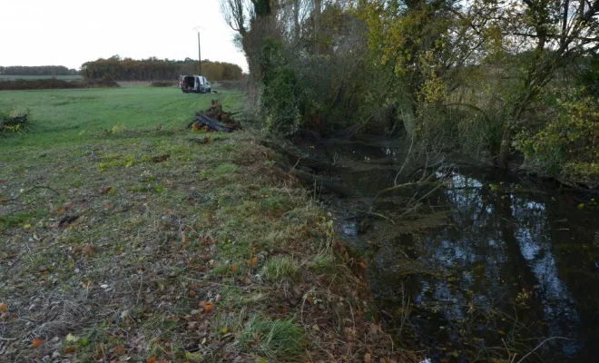 Réouverture de mare, agir pour la biodiversité !, Châtellerault, Arborea