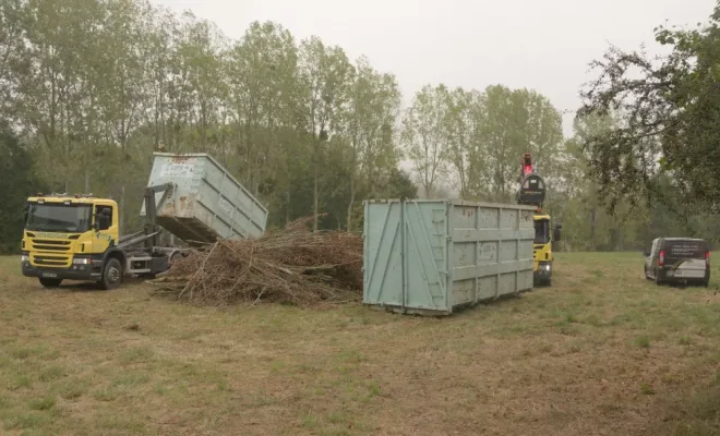 Abattage en bord de route, Châtellerault, Arborea