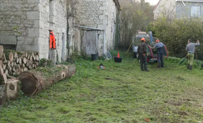 Elagage d'arbres à Chatellerault, Châtellerault, Arborea
