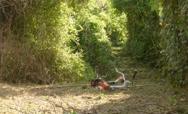 Remise en état de jardin, Châtellerault, Arborea