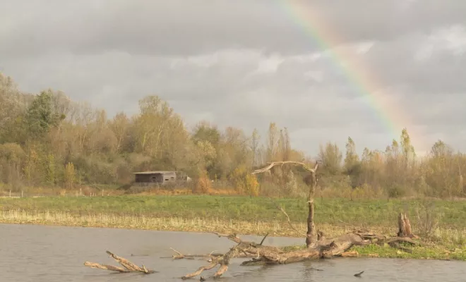 Travaux en espaces naturels, Châtellerault, Arborea