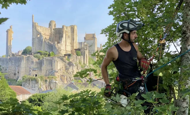 Elagage à Chauvigny, Châtellerault, Arborea