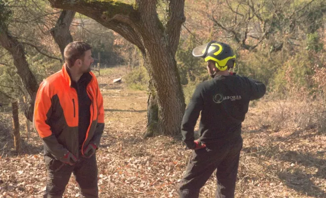Restauration de pelouses sèches à VALDIVIENNE, Châtellerault, Arborea