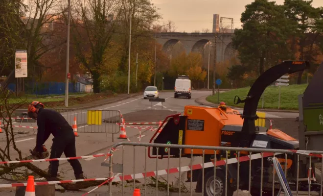 Elagage d'urgence Limoges, Châtellerault, Arborea