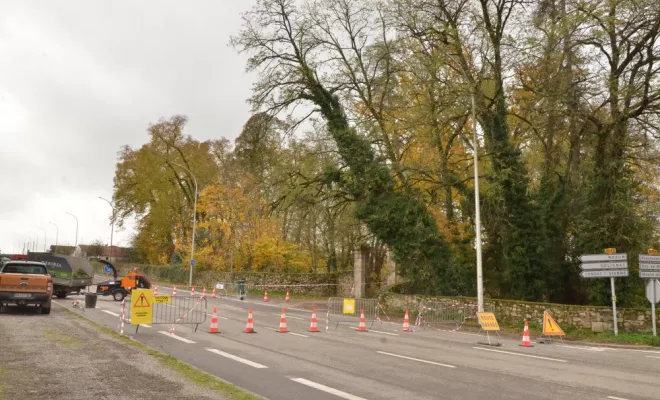 Elagage d'urgence Limoges, Châtellerault, Arborea