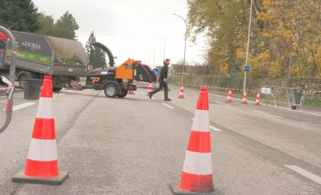 Elagage d'urgence Limoges, Châtellerault, Arborea