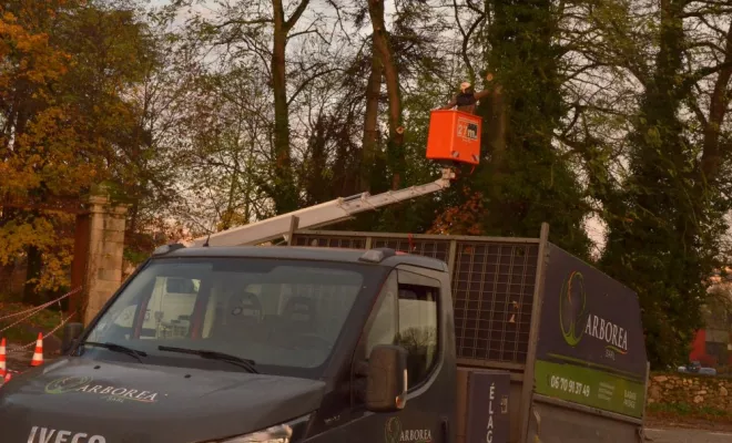 Elagage d'urgence Limoges, Châtellerault, Arborea