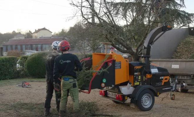 Abattage par démontage de deux cèdres, Châtellerault, Arborea