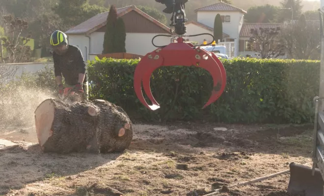 Abattage par démontage de deux cèdres, Châtellerault, Arborea