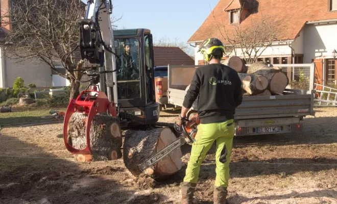 Abattage par démontage de deux cèdres, Châtellerault, Arborea