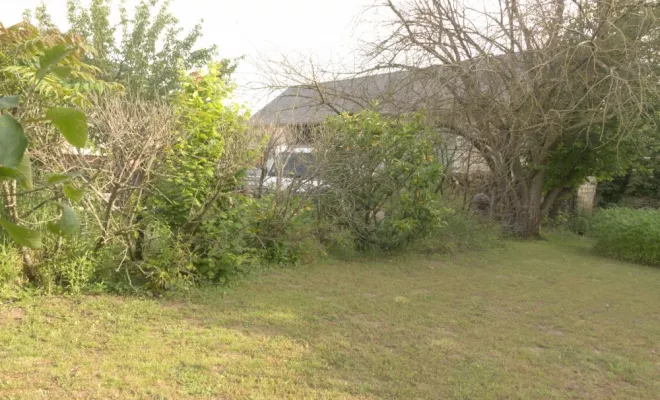 Pose de clôture à Châtellerault 86100, Châtellerault, Arborea