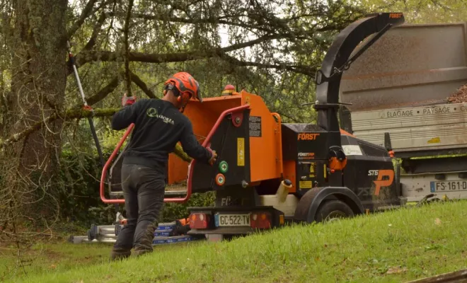 Démontage d'un grand cèdre mort, Châtellerault, Arborea