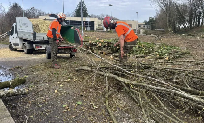 Travaux d'élagage Arboréa