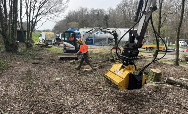 Travaux d'abattage Arboréa