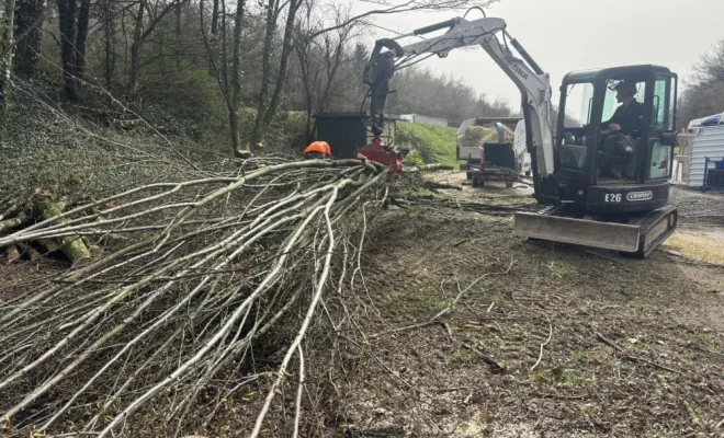 Travaux d'élagage Arboréa